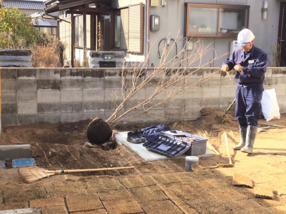 木