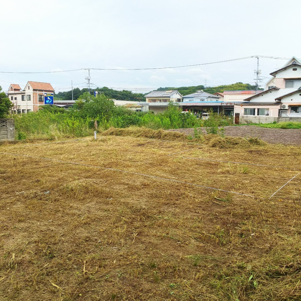 地縄張り