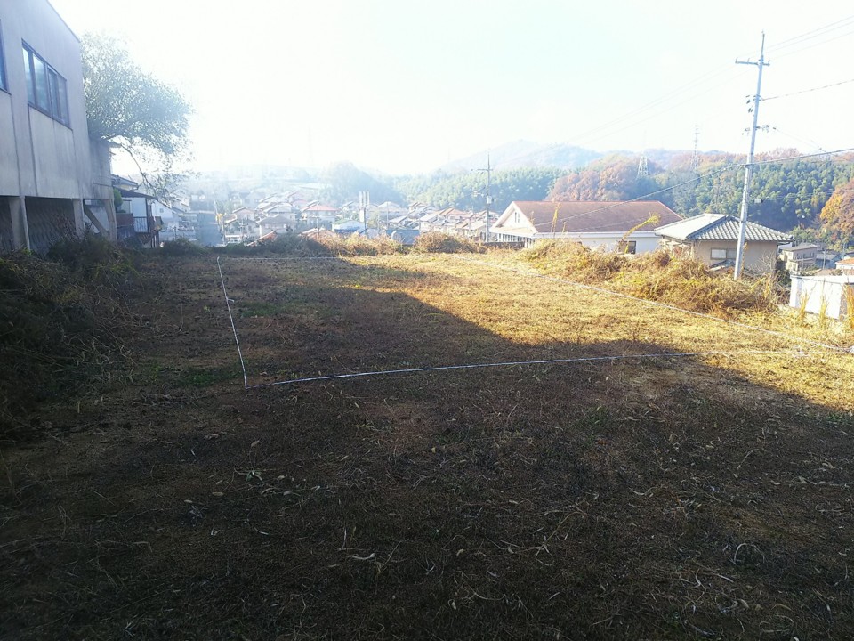 地縄張り